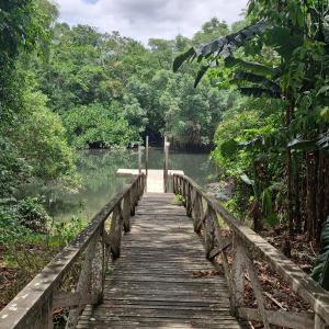a wooden bridge over a body of water at COP 30 suítes em casa confortável in Ananindeua +10 photos