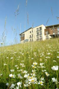 a field of flowers in front of a building at Wellness-& Nationalpark Hotel Schliffkopf, BWSC in Baiersbronn