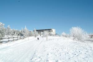 a person is skiing down a snow covered slope at Wellness-& Nationalpark Hotel Schliffkopf, BWSC in Baiersbronn
