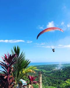 a person flying a parachute over a palm tree at Puerto Alto Hostel in Santa Marta