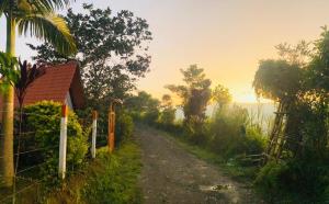 a dirt road next to a fence and a house at Cabaña La Victoria in Sasaima +4 photos