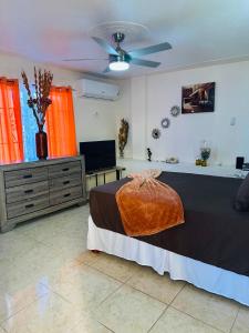 Afbeelding uit fotogalerij van Hibiscus View Apartment Rental in Runaway Bay