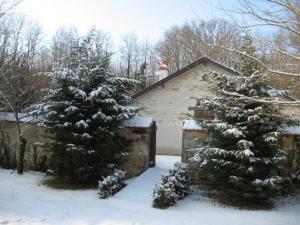 a house with two christmas trees in the snow at Gîte authentique au cœur de la forêt près de Chinon - FR-1-381-232 in Saint-Benoît-la-Forêt