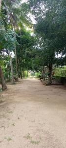 Jardí fora de The Nest