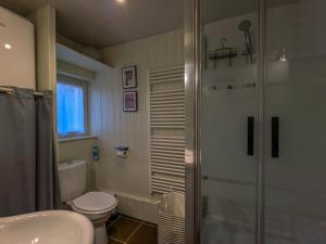 a bathroom with a shower and a toilet and a sink at Maison indépendante avec terrasse et parking privatif - FR-1-591-719 in Le Poinçonnet +9 photos