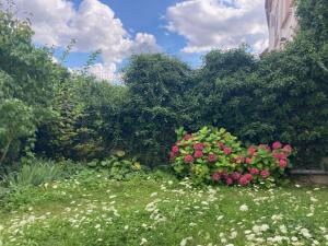 a garden with pink flowers in the grass at Appartement romantique à Verdun avec parking privé - FR-1-585-168 in Verdun