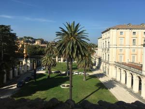 a palm tree in a park in front of a building at Youroom Corsini in Rome