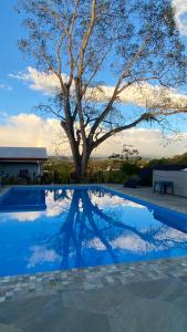 a tree reflecting in a pool with a reflection at Casa Marigold in Coyol +43 photos
