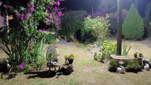 サン・ガブリエウにあるHouse Medeirosの花の庭園