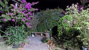 サン・ガブリエウにあるHouse Medeirosの紫紫の花や紫の花、植物のある庭園 +3枚の写真