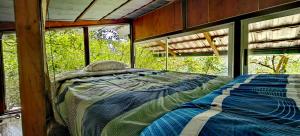 un letto all'interno di una stanza con finestre di Cabaña treehouse Mountain View a San Isidro