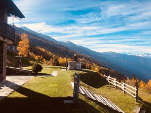 Táj Show holiday homes közelében