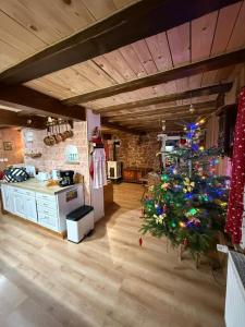 ein Weihnachtsbaum in der Küche eines Hauses in der Unterkunft Gîte Bien-être, Sauna, Bain nordique à Soucht (57) in Soucht