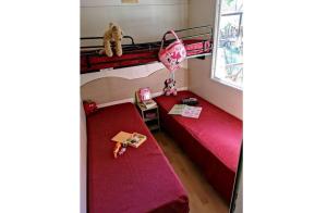 une chambre avec deux lits superposés et un chat assis dessus dans l'établissement Feriendorf Le Tamerici Mobilehome Capri für 6 Personen, à Marina di Cecina 22 autres photos