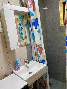a bathroom with a sink and a mirror at Vikendica na Drini in Banja Koviljača +19 photos