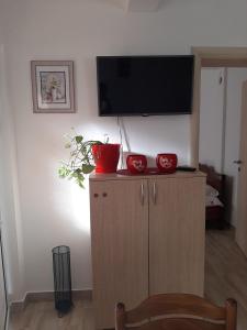 TV a/nebo společenská místnost v ubytování Apartmani LaVa igalo 2