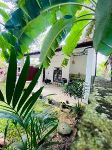 a house with a bunch of plants in the yard at Lagoon view resort in Ahangama