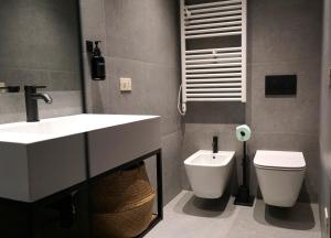 a bathroom with a sink and a toilet at SANBE 17 Loft House in Bergamo