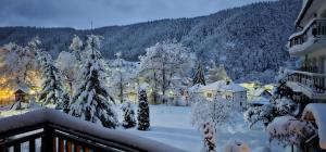 a winter view of a town with snow covered trees at Апартамент Edelweiss in Beli Iskar +18 photos