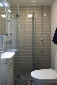 a bathroom with a shower and a toilet and a sink at Cozy apartment with view in Kajaani +12 photos