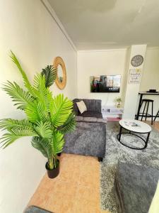 a living room with a couch and a palm tree at Pequeno Cielo Staycation in Nairobi