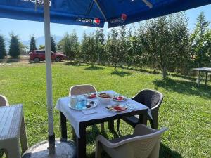 Zahrada ubytování Villa Rejan