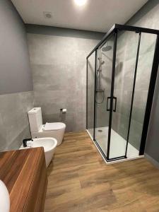 a bathroom with a toilet and a glass shower at Loft Coruña Mar in A Coruña +14 photos