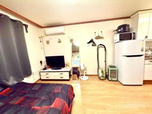 Un televizor și/sau centru de divertisment la Spacious Studio Apt (Myeong-dong)