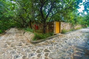 Fotografie z fotogalerie ubytování Nature Village Resort v destinaci Puškar