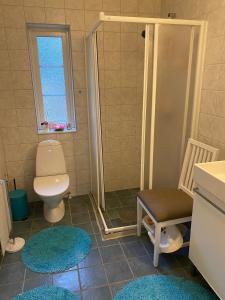a bathroom with a toilet and a shower with a window at Grand 5 Room Villa in Kallfors, Järna, Stockholm near Forest, the Baltic Sea and a Golf course - a whole house no shared rooms in Järna +86 photos