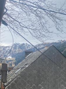 un techo de una casa con montañas en el fondo en Maison les papillons, en Le Mont-Dore