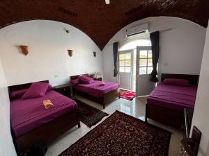 two beds in a room with purple sheets at Nile View Guest House in Aswan