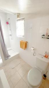 Un baño blanco con inodoro y ducha. en logement indépendant, en Callian