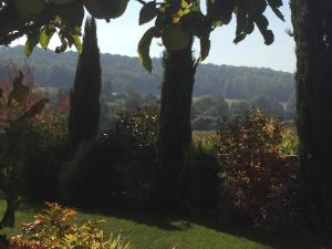 Naturlandschaft in der Nähe des Bed & Breakfasts