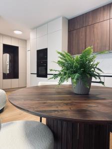 Nhà bếp/bếp nhỏ tại Luxury Apartment with Free Private Parking