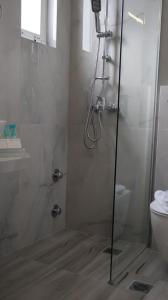a bathroom with a shower and a toilet at Pension Sofia in Parikia