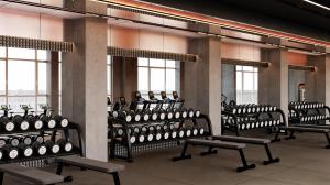 Fitness centrum a/nebo fitness zařízení v ubytování Phoenix Hotel & Wellness