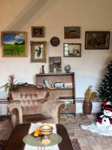 a living room with a couch and a christmas tree at Saschiz 130/Lodging and Glamping in Saschiz