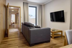 TV o dispositivi per l'intrattenimento presso Luční apartmány Dobromysl a Laskavec