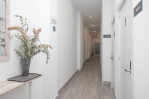 Fotografie z fotogalerie ubytování Moreno Rooms ve Valencii