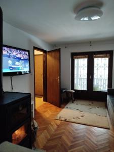 TV a/nebo společenská místnost v ubytování GOČ Planinska Kuća MILJA