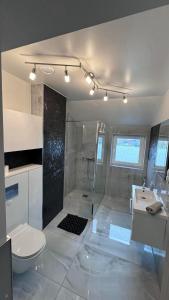 a bathroom with a shower and a toilet and a sink at AZYL in Legnica +45 photos