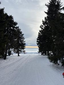 Príroda v okolí chaty v prírode