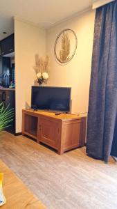 Una sala de estar con un televisor de pantalla plana sobre una mesa. en luxury chalet by the forest!, en Anloo