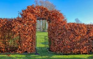 an ivy covered fence with an open gate at Gorgeous Apartment In Nübel Ot Brekling in Brekling +19 photos