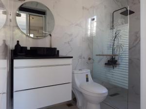 a bathroom with a toilet and a sink and a mirror at APE Dream Villa in Itabo +13 photos