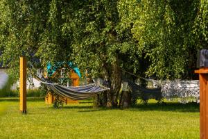 a hammock hanging from a tree in a yard at Domki Podniebo in Jarosławiec +62 photos