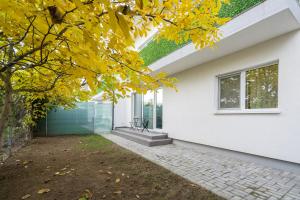 Κήπος έξω από το Casa Magurele 6