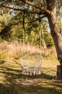 a swing hanging from a tree in a field at Domki Podniebo in Jarosławiec
