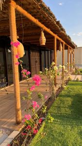 Zahrada ubytování Aleef resort
